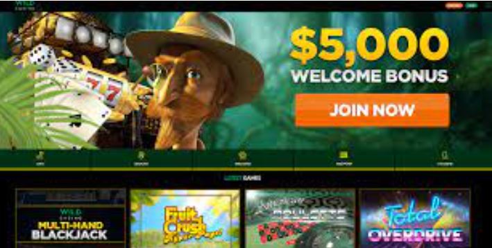 Wild Casino
