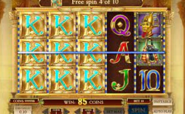 Book of dead free spins